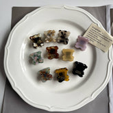 Cartoon Cute Bear Mini Acetate Small Hair Claw Clip Accessories For Girls